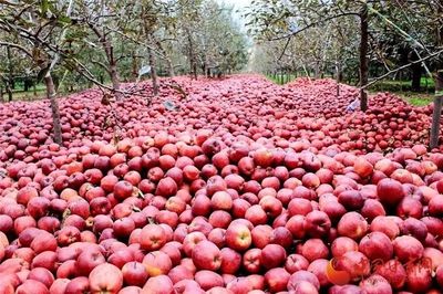 蘭州供銷系統(tǒng)首個農(nóng)產(chǎn)品展示中心正式運營，推動‘甘味’市場新發(fā)展